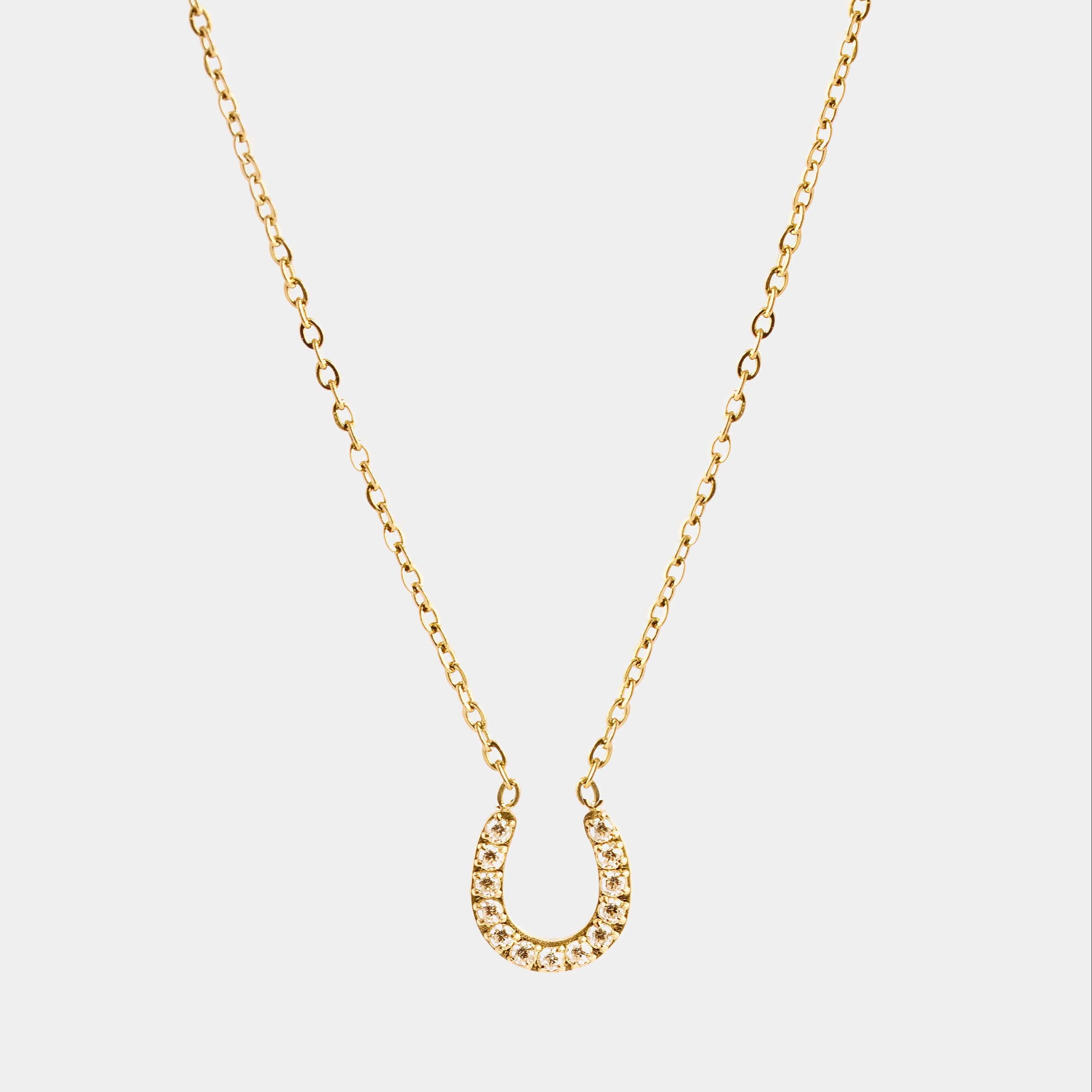 New Horseshoe Necklace