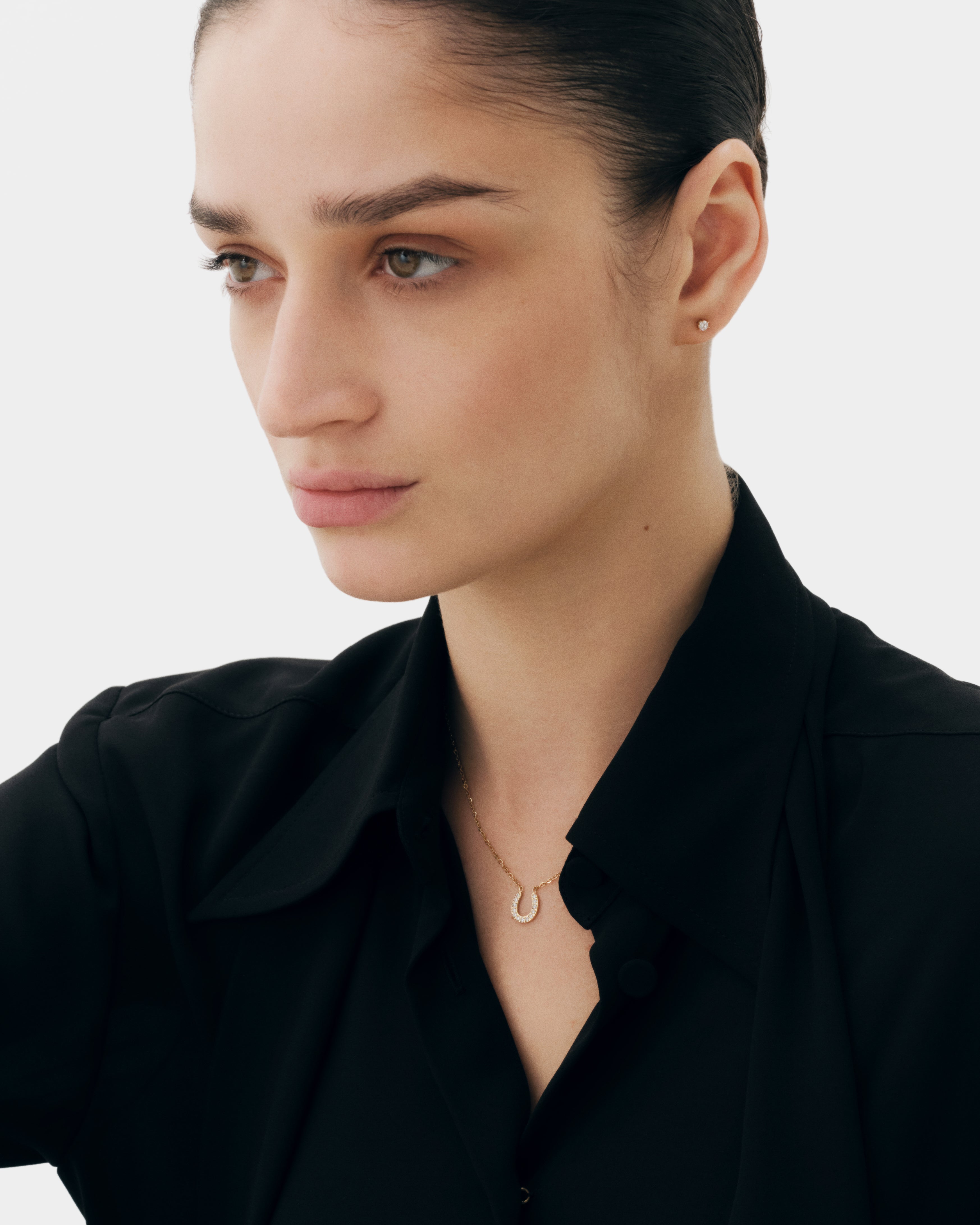 New Horseshoe Necklace