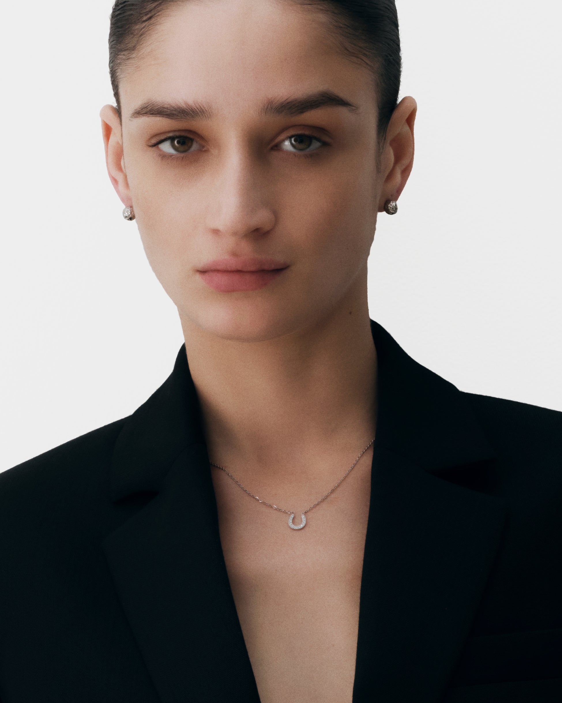 New Horseshoe Necklace