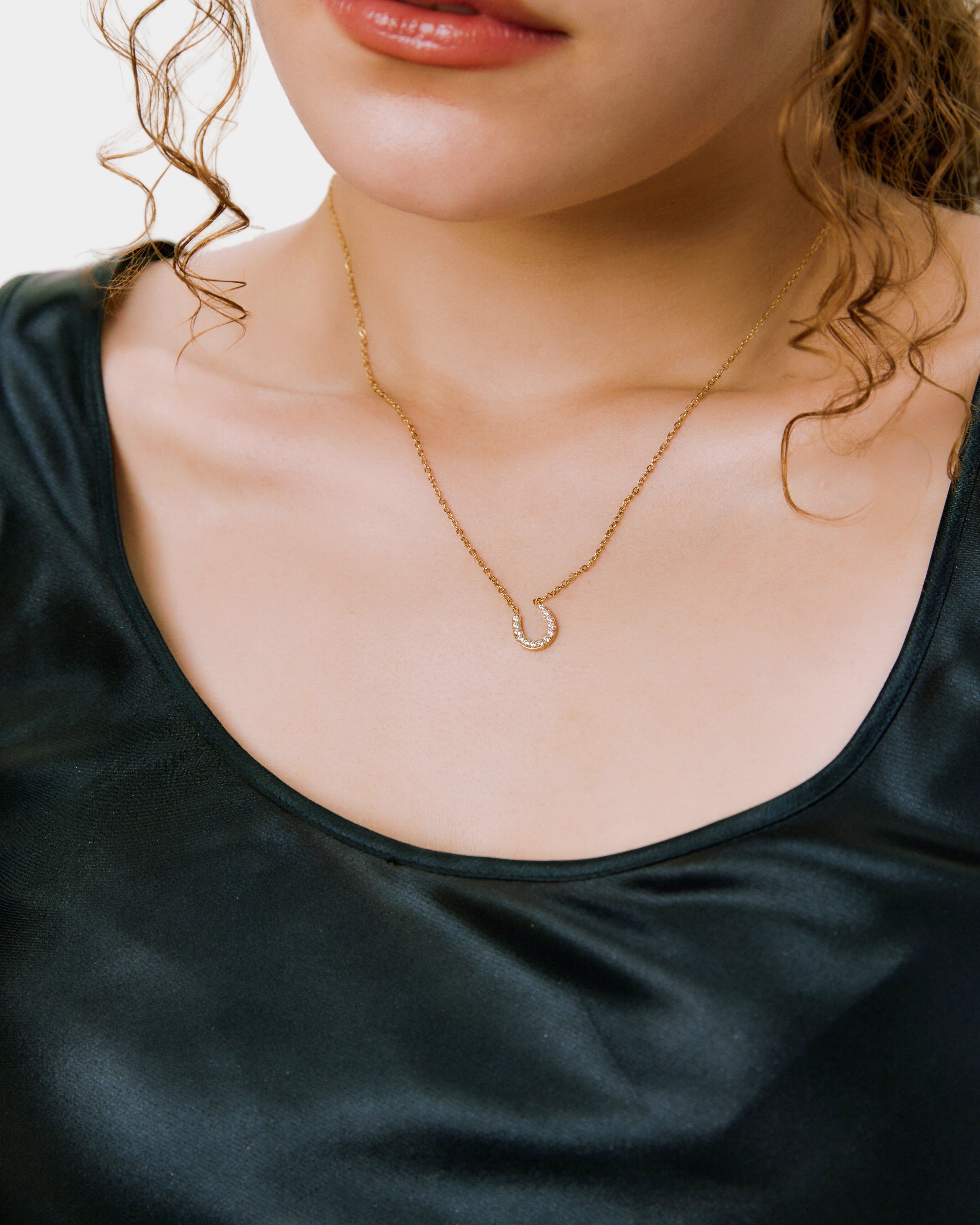 New Horseshoe Necklace