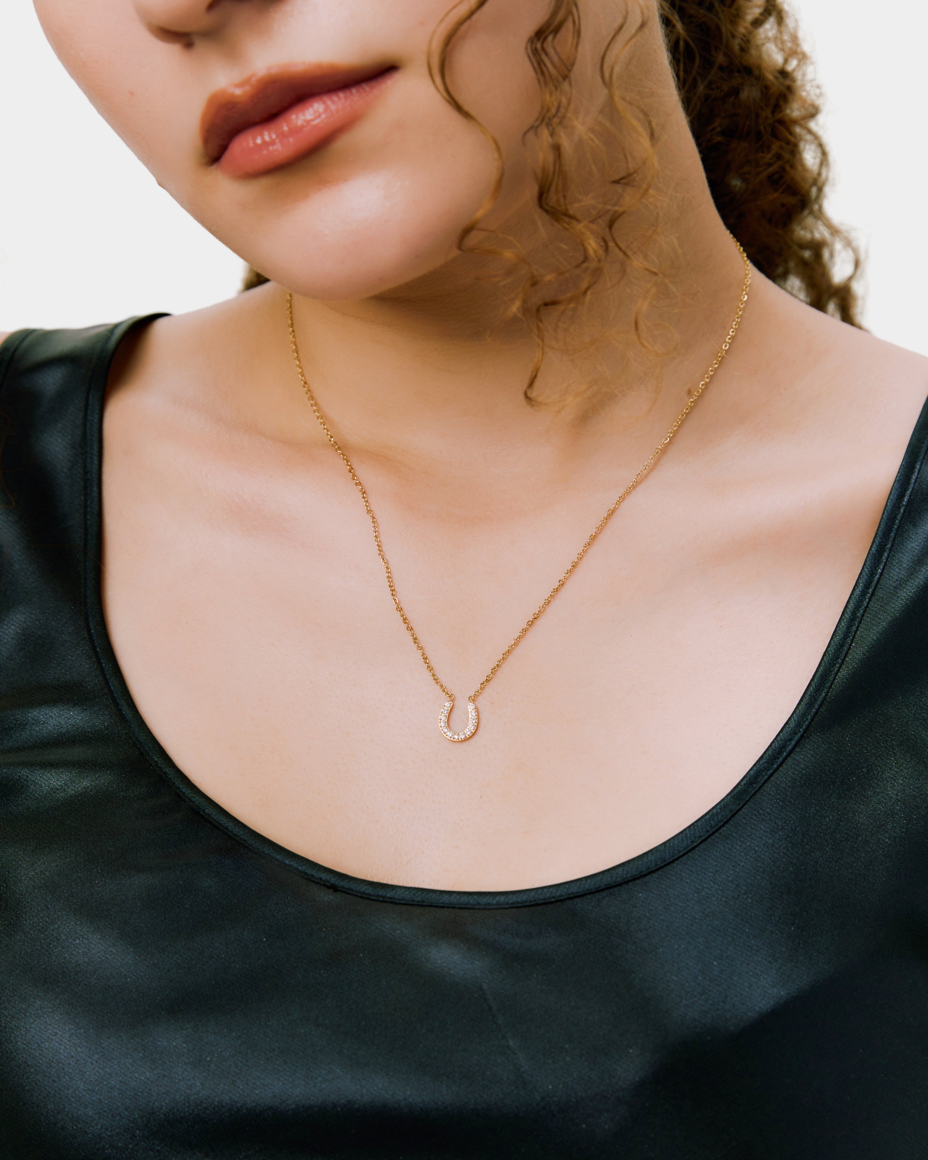 New Horseshoe Necklace