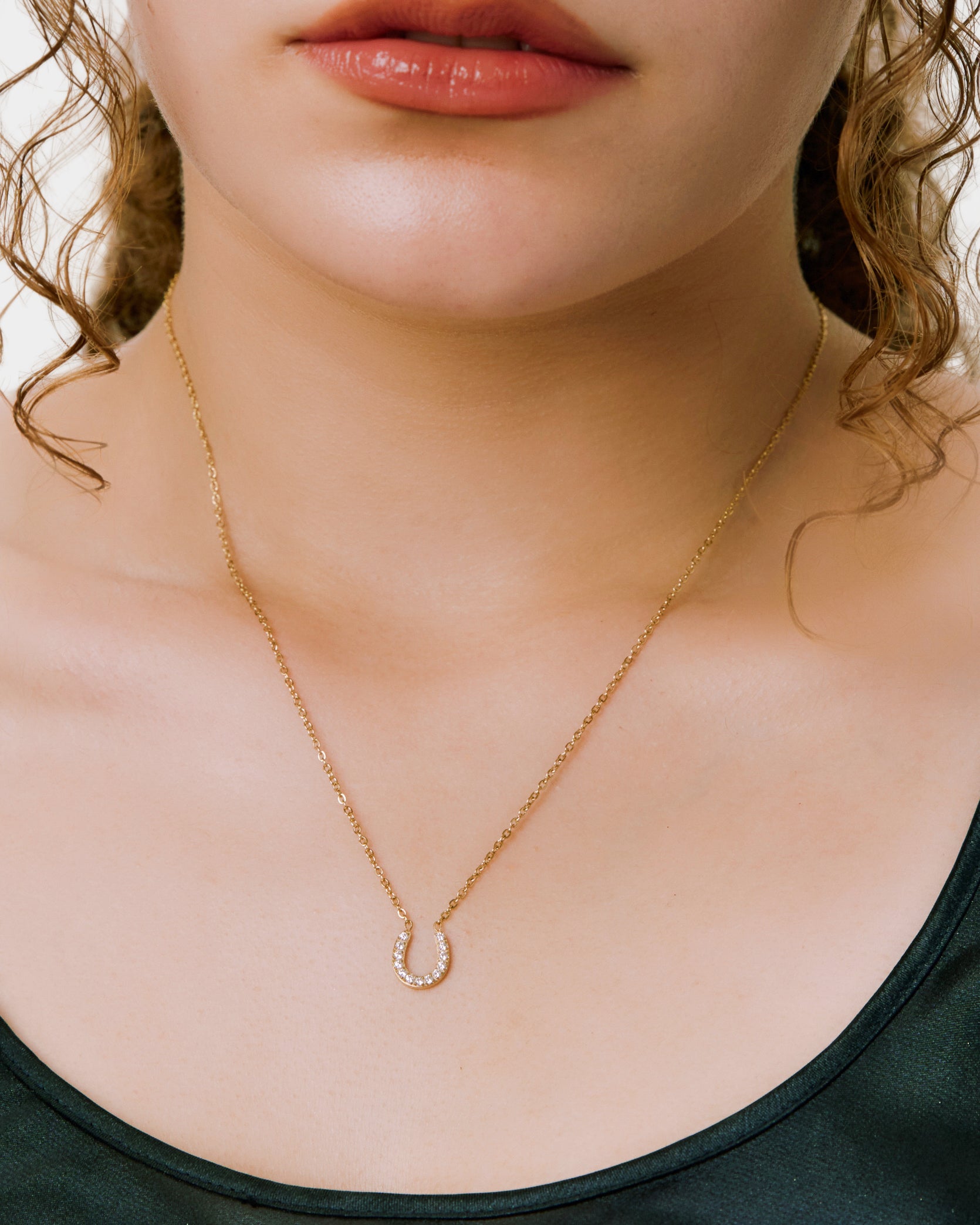 New Horseshoe Necklace
