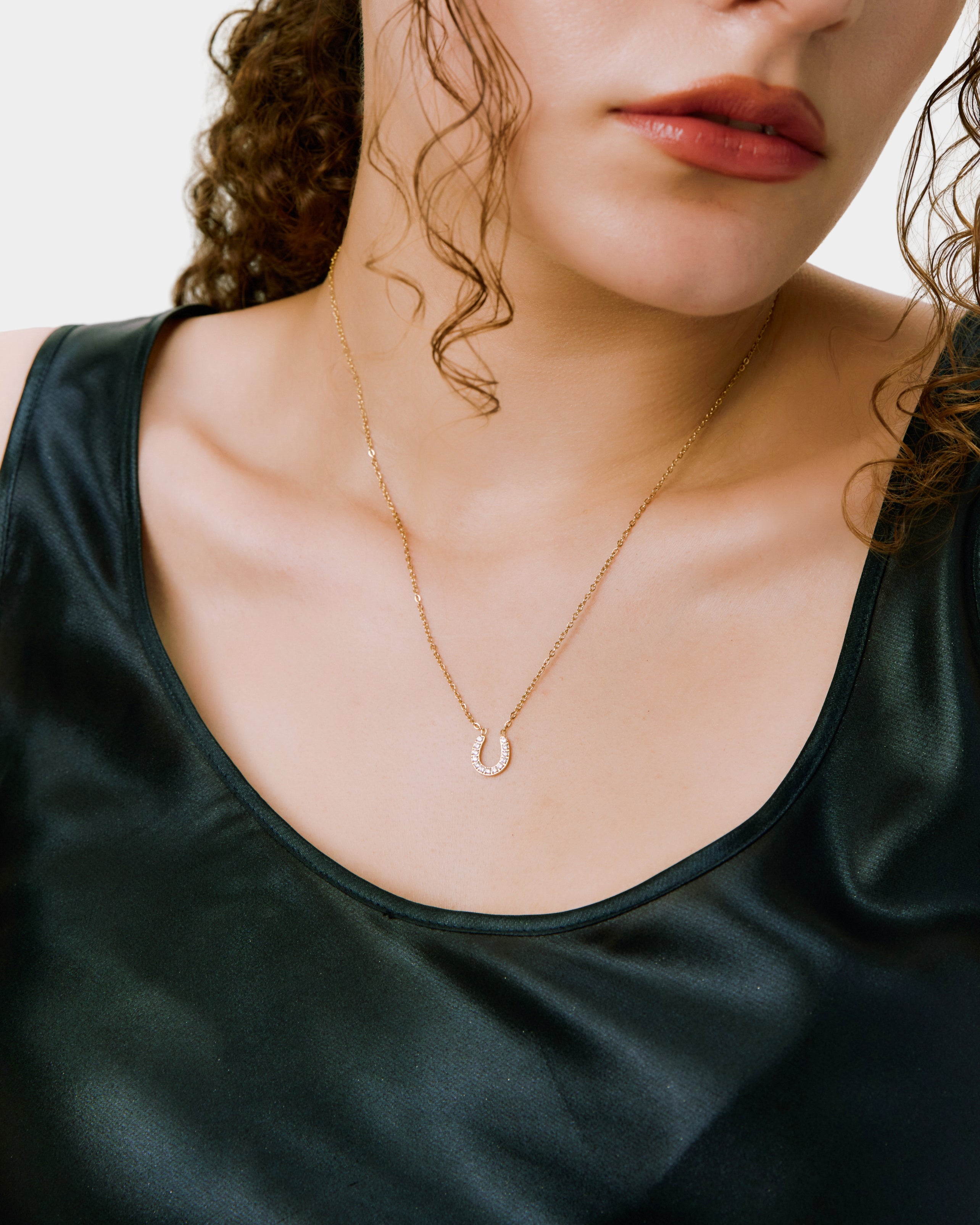 New Horseshoe Necklace