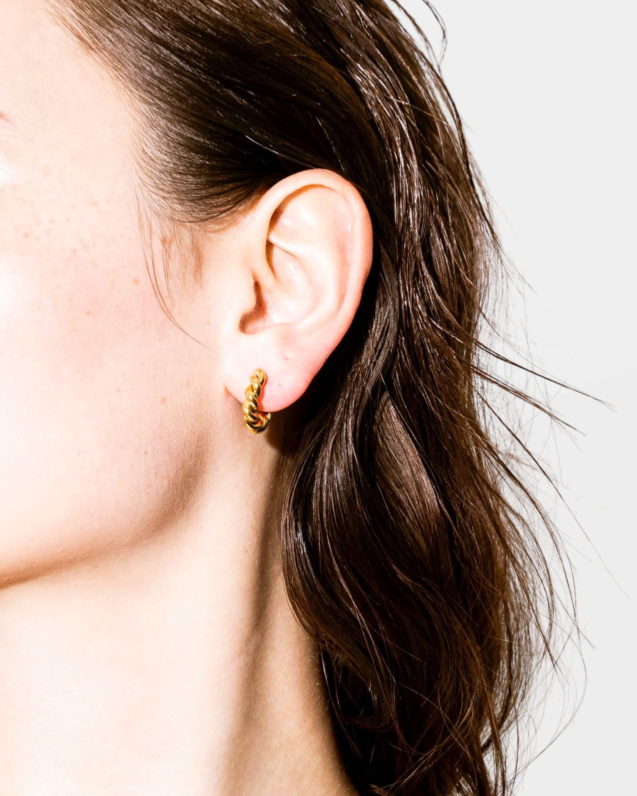 Petite Twist Curve Earrings