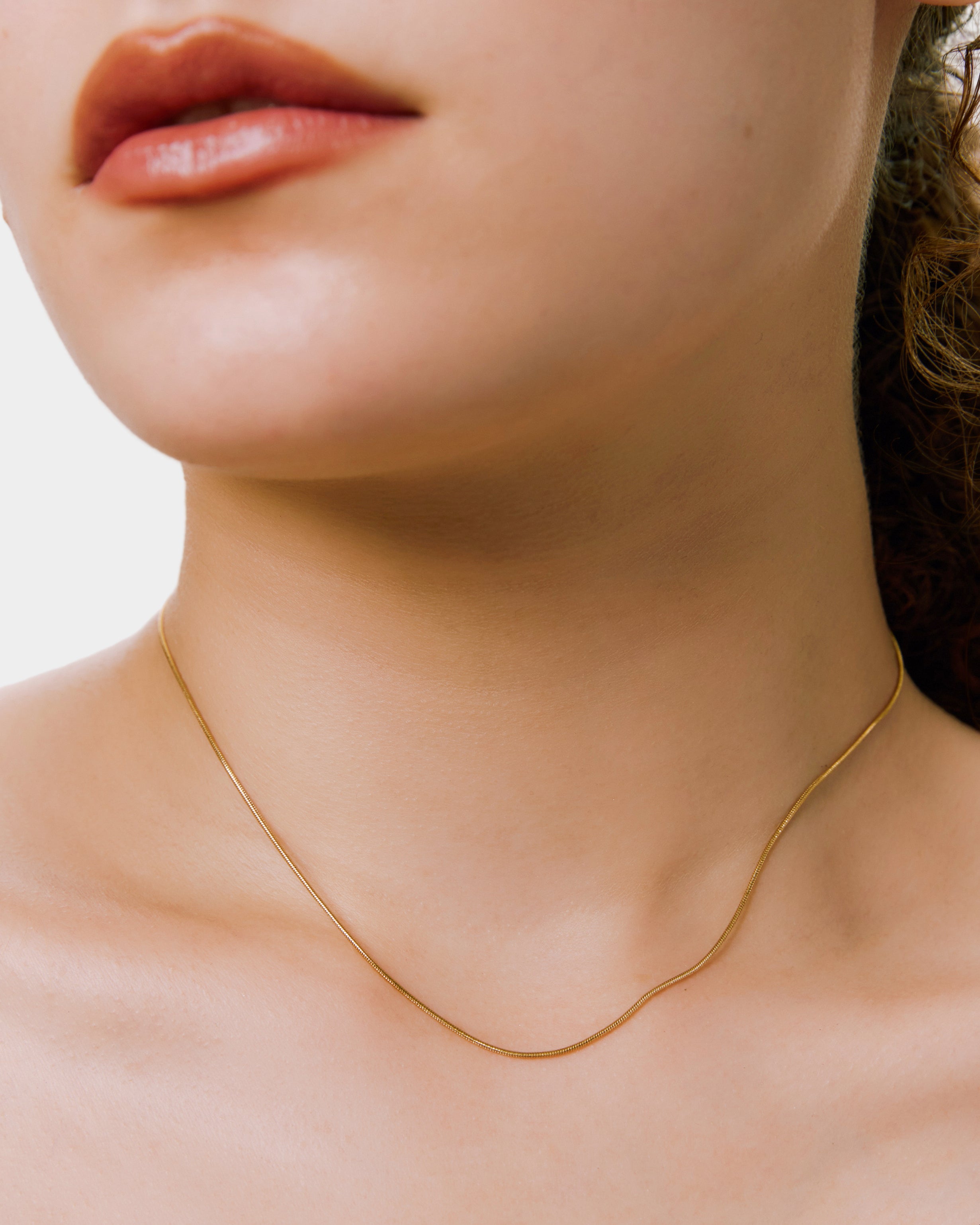 snake chain necklace