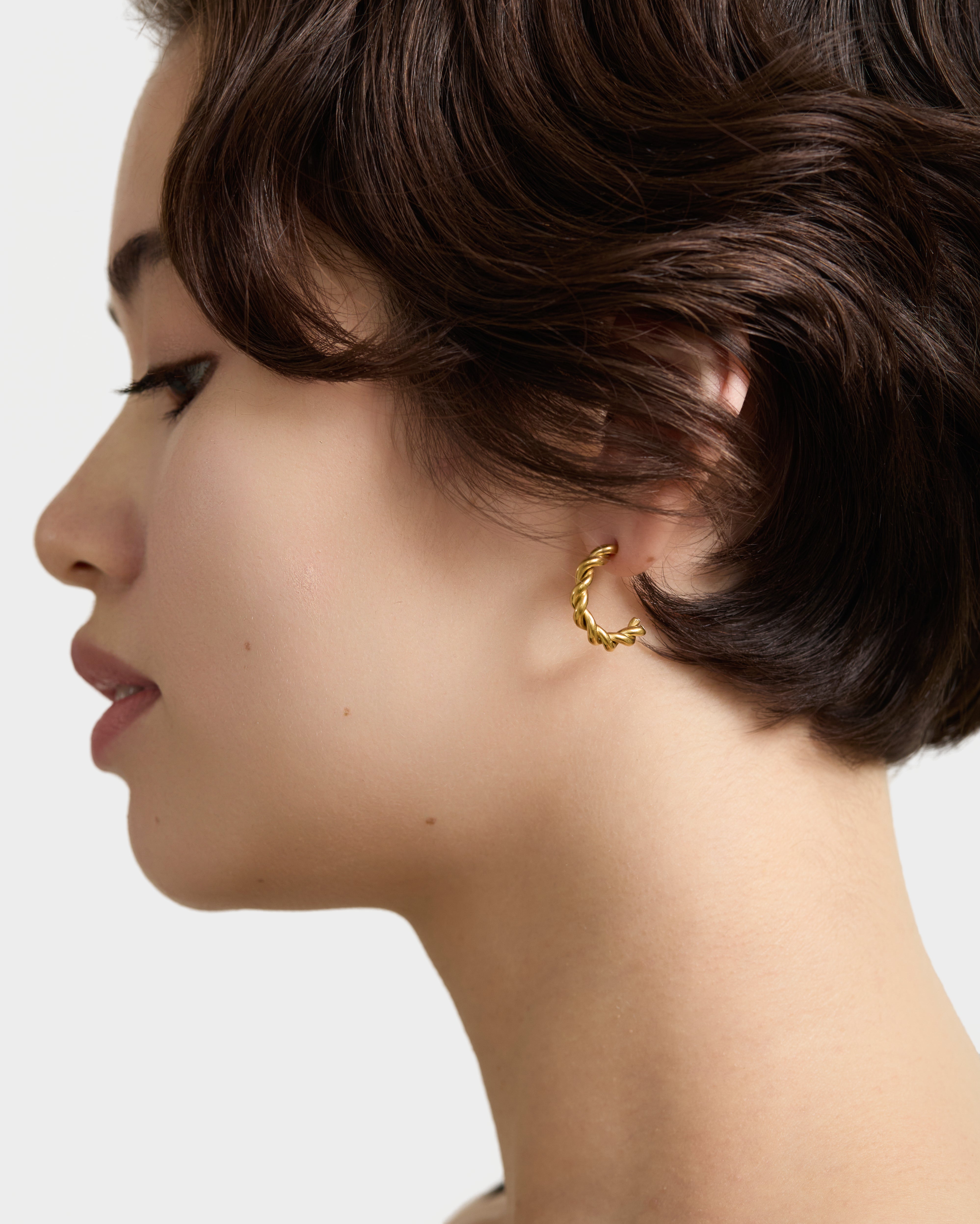 Twisted Curve Earrings