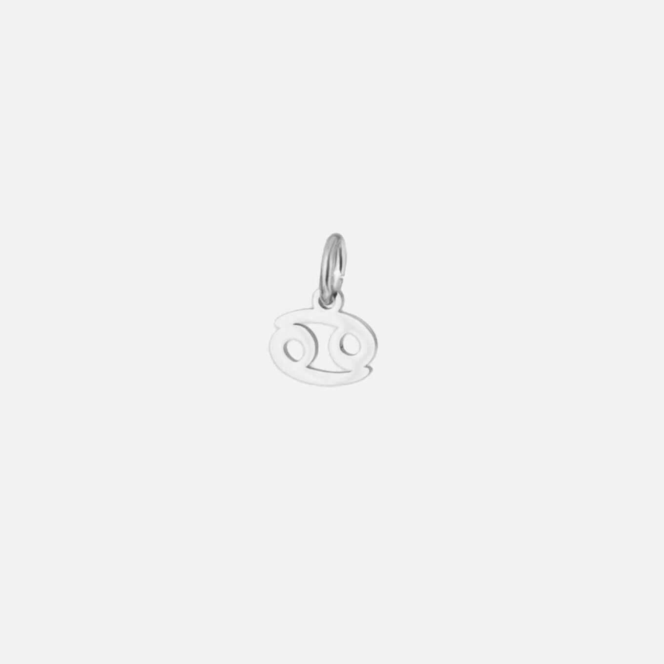 Zodiac Charm Collection - Silver