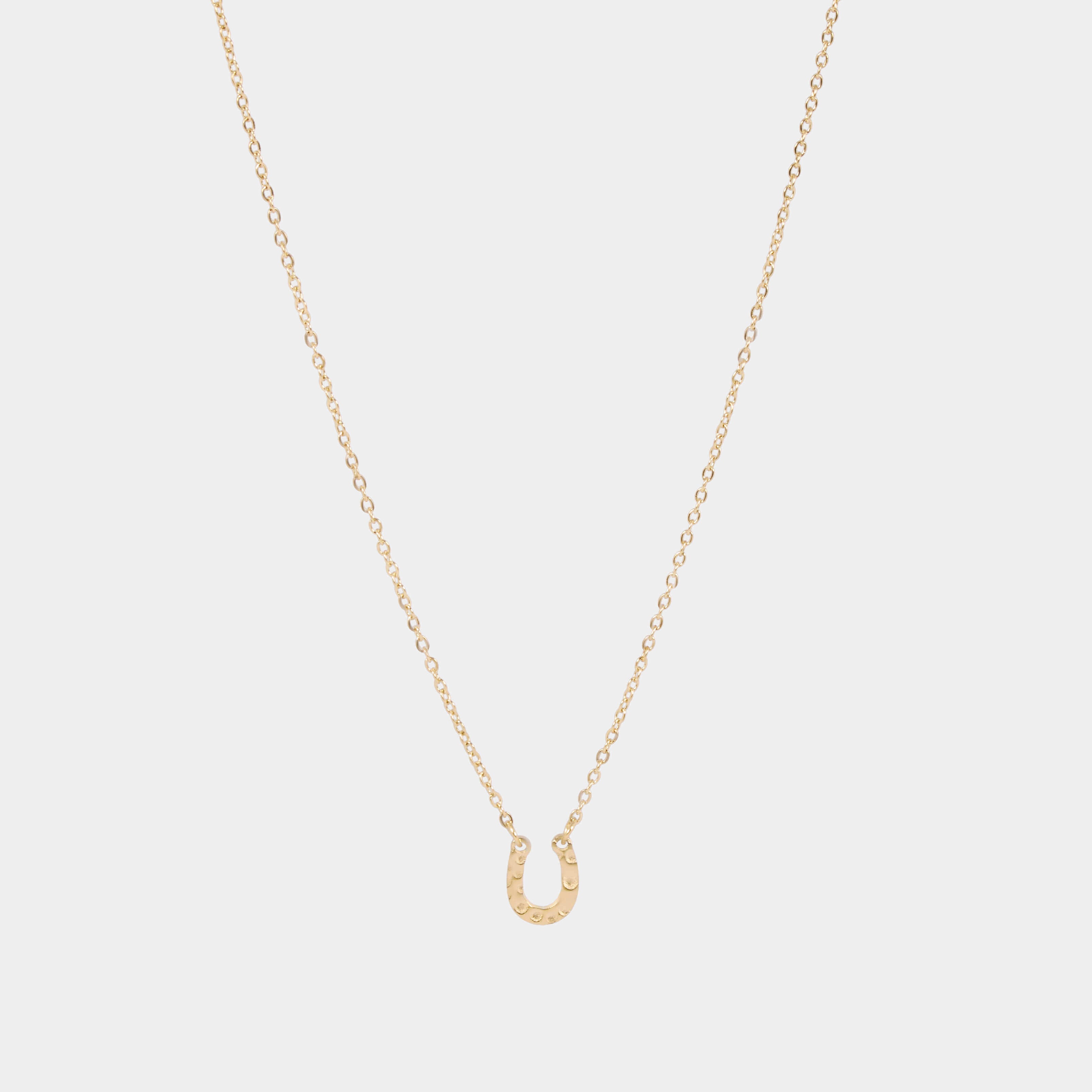 Horseshoe Necklace