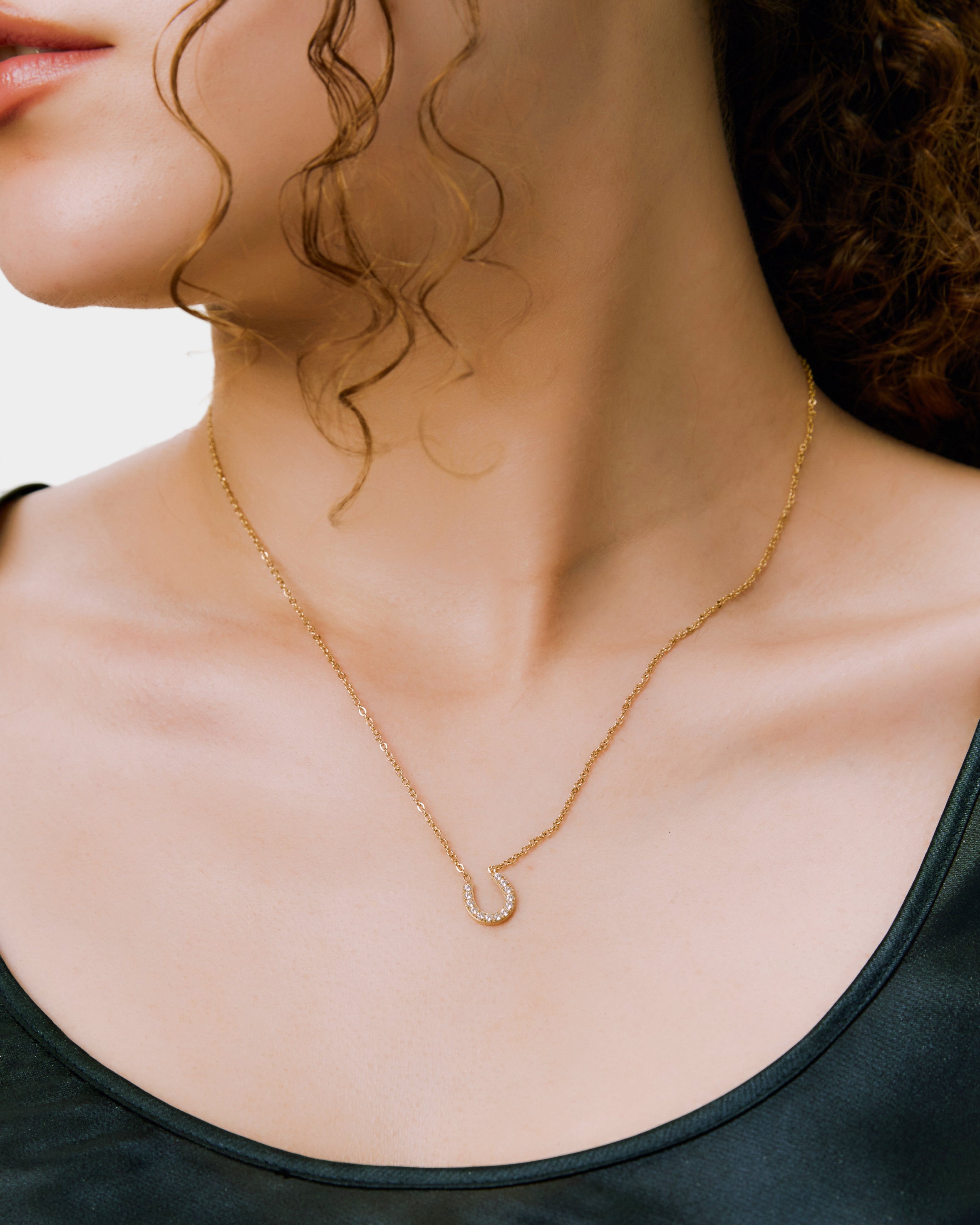 New Horseshoe Necklace