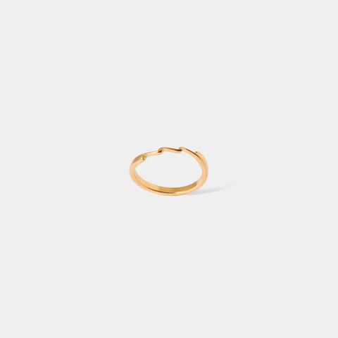 Wavelet Ring