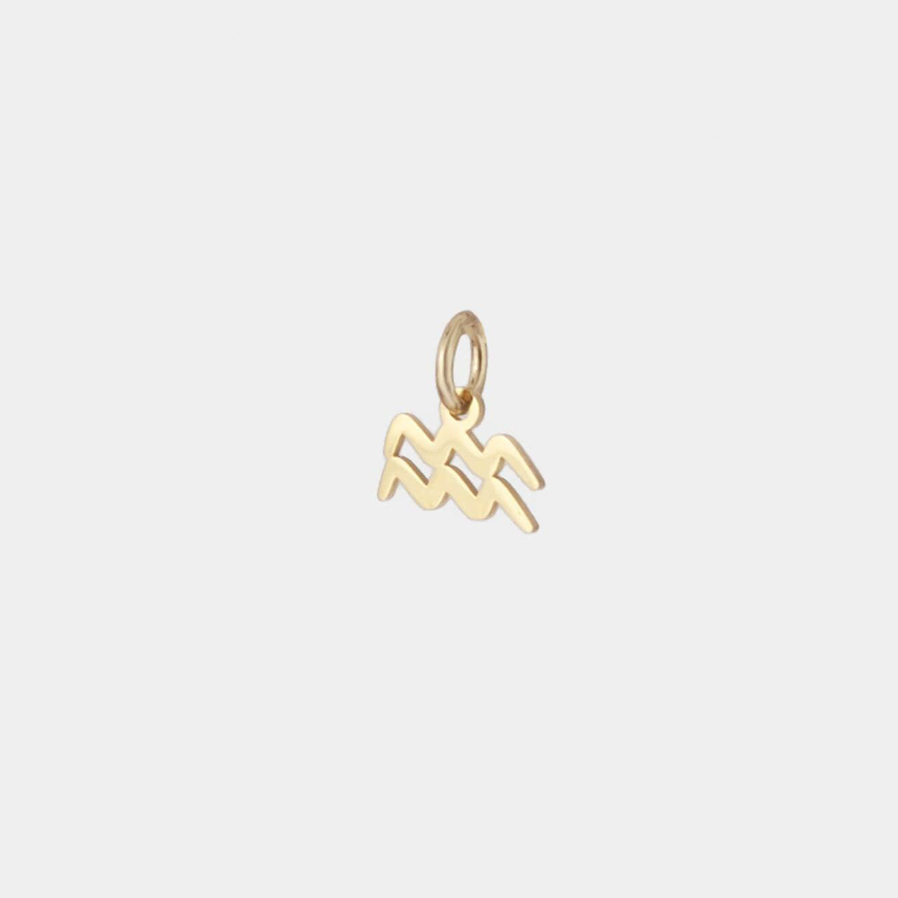 Zodiac Charm Collection
