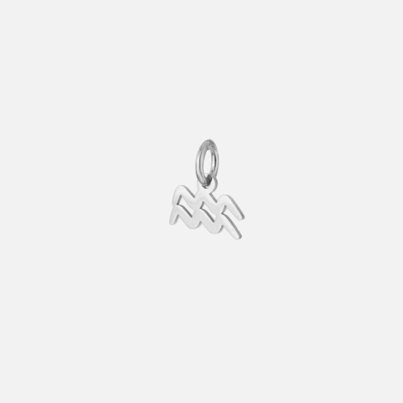 Zodiac Charm Collection - Silver