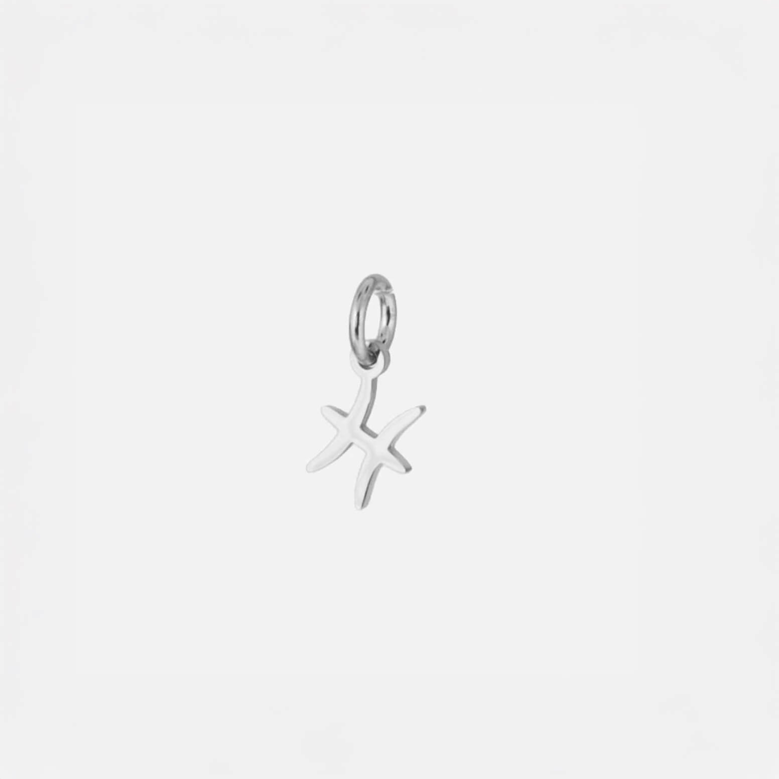 Zodiac Charm Collection - Silver